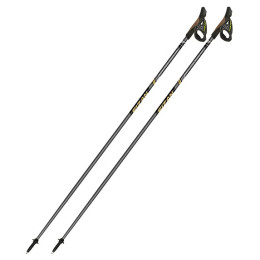 Nordic Walking Stöcke Fizan NW Runner