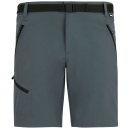 Herrenshorts Regatta Xert Stretch Shorts grau Dark Storm