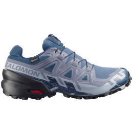 Herren Laufschuhe Salomon Speedcross 6 Gore-Tex
