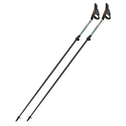 Nordic Walking Stöcke Fizan Tekno Race Impulse grau Grey