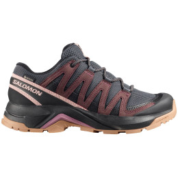 Damen Trekkingschuhe Salomon X-Adventure Recon Gore Tex