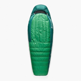 Daunenschlafsack Sea to Summit Ascent -1C Regular grün Rain Forest Green