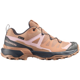 Damenschuhe Salomon X Ultra 360 Gore-Tex