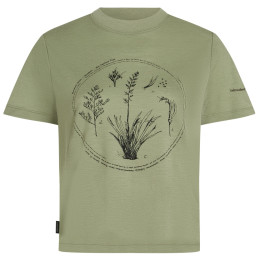 Damen-T-Shirt Icebreaker Merino 150 Tech Lite SS Crop Tee Seed Story