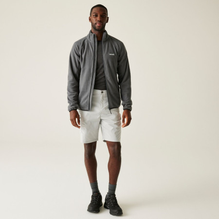 Herren-Sweatshirt Regatta Hadfield