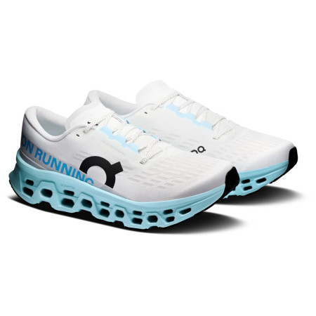 Herren Laufschuhe On Running Cloudmonster 3