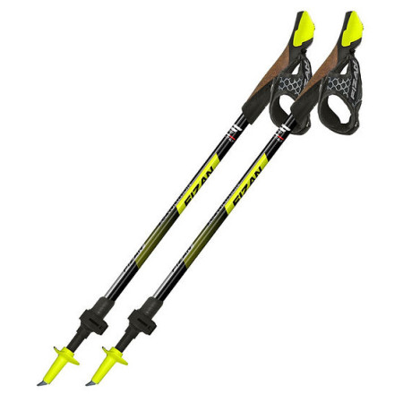 Nordic Walking Stöcke Fizan R-Evolution