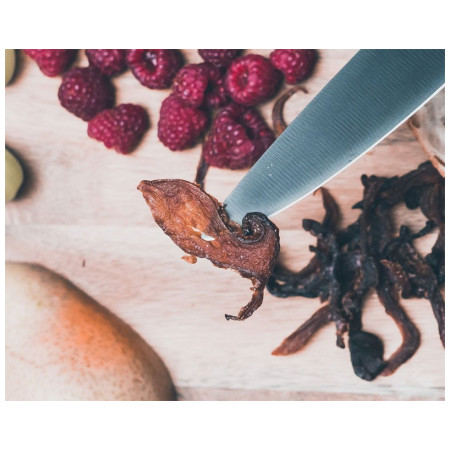 Pilz-Trockenfleisch Timba Mushroom Jerky - BBQ Bird Eye