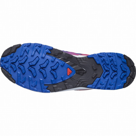 Herrenschuhe Salomon Xa Pro 3D V9 Gore-Tex Equipe