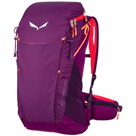 Rucksack Salewa Alp Trainer 20 Ws dunkellila Darkpurple