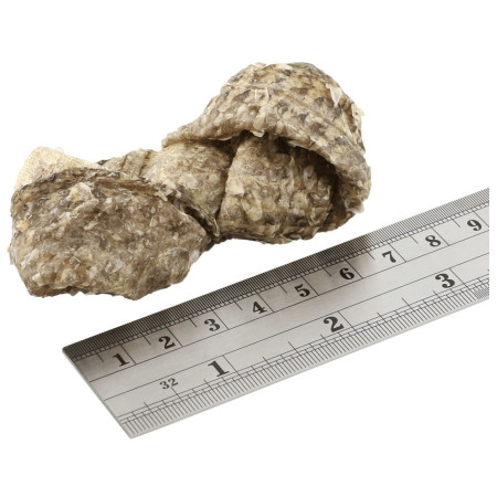 Hundeleckerlis Fish4Dogs Dental Sea Jerky Fish Knots 100g