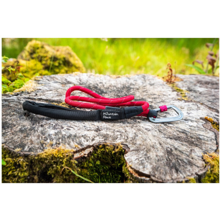 Hundeleine Mountain Paws Rope Dog Lead