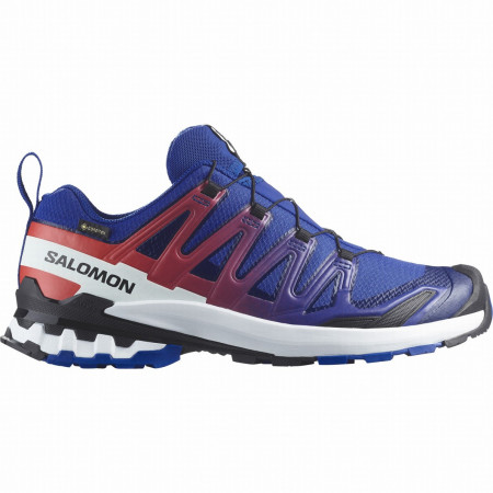 Herrenschuhe Salomon Xa Pro 3D V9 Gore-Tex Equipe