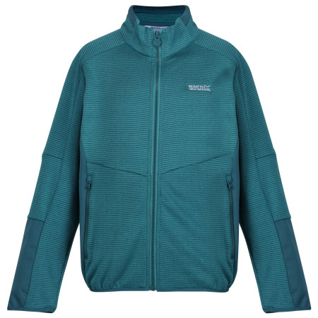 Kinder-Sweatshirt Regatta Highton WtrFZ III hellblau Pagoda/Drgnf