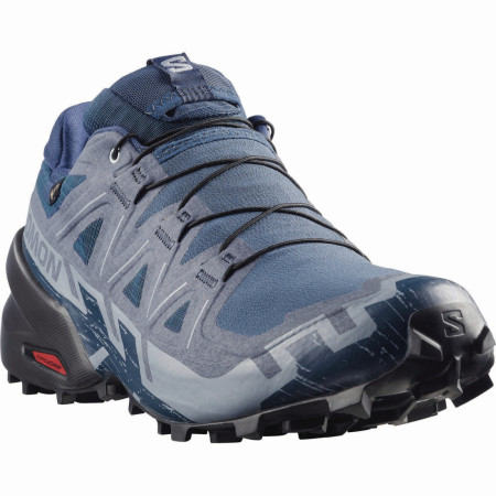 Herren Laufschuhe Salomon Speedcross 6 Gore-Tex