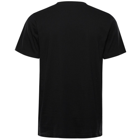 Herren-T-Shirt Alpine Pro Bolen 2