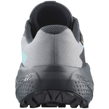 Damenschuhe Salomon Alphaglide Gore-Tex