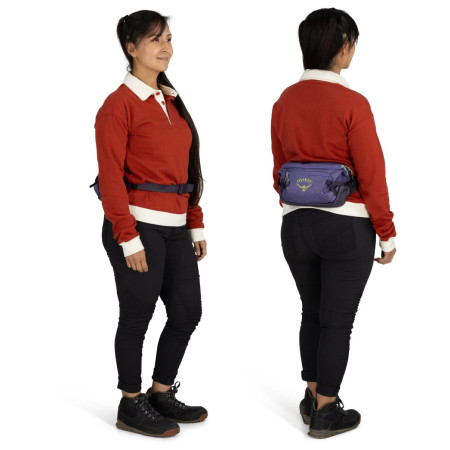 Hüfttasche Osprey Transporter Waist