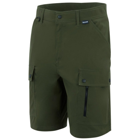 Herrenshorts Regatta Arlery Shorts