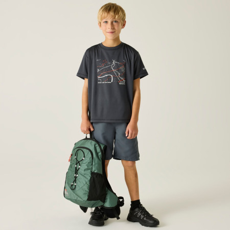 Kinder-T-Shirt Regatta Alvarado Seal Grey