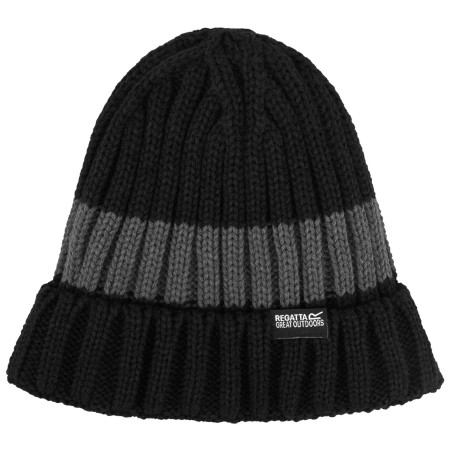 Wintermütze Regatta Davion Hat V