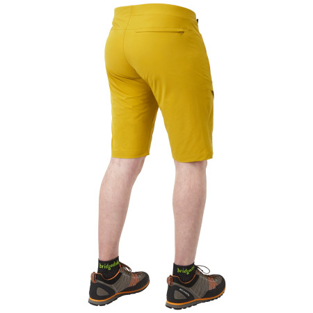 Herrenshorts Mountain Equipment Comici Short