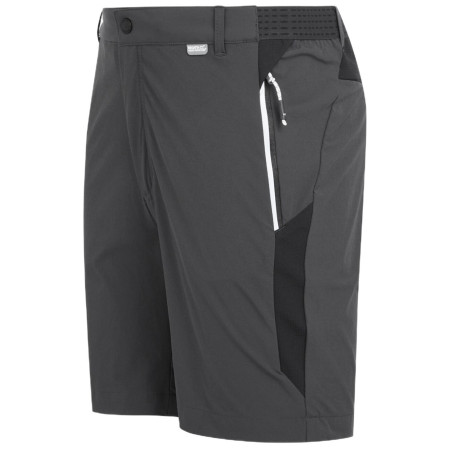 Herrenshorts Regatta Mountain ShortsII M