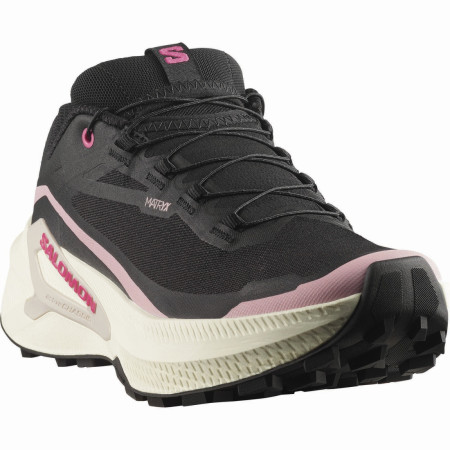 Damen Laufschuhe Salomon Genesis 2 Gtx W