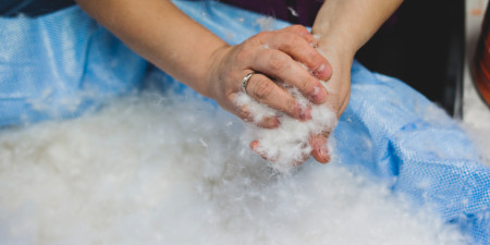 Daunen - ihre Eigenschaften, Vor- und Nachteile