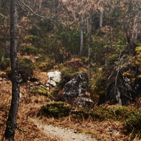 Was bedeutet Biwakieren?