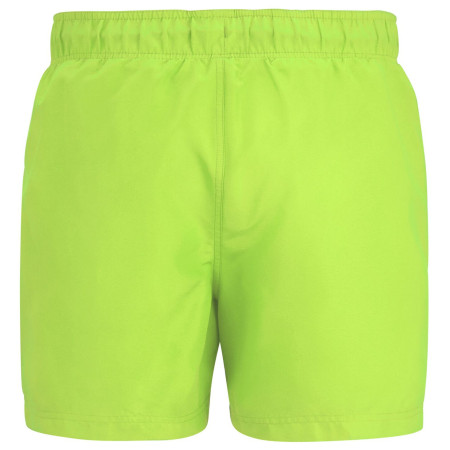 Herrenbadeanzug Regatta Mawson Swim Shorts III