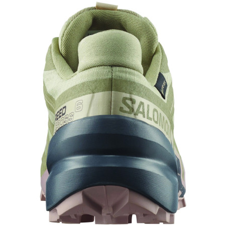 Damenschuhe Salomon Speedcross 6 Gore-Tex