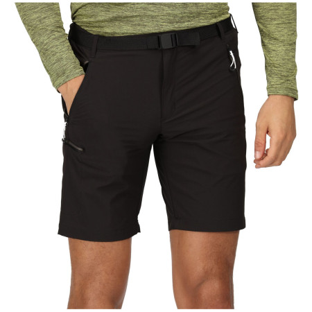 Herrenshorts Regatta Xert Stretch Shorts III