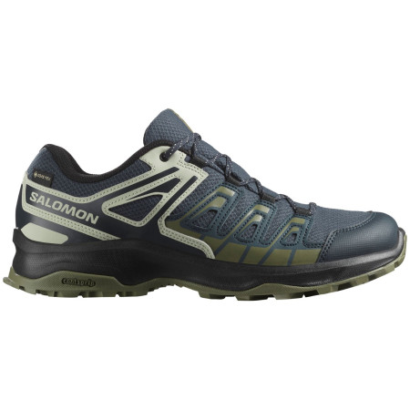 Wanderschuhe Salomon Extegra Gore-Tex