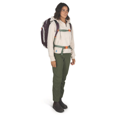 Reiserucksäcke Osprey Transporter Travel Pack 36