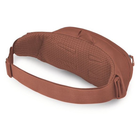 Hüfttasche Osprey Daylite Waist