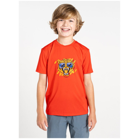 Kinder-T-Shirt Dare 2b Amuse II Tee