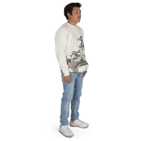 Hüfttasche Osprey Daylite Waist Pack