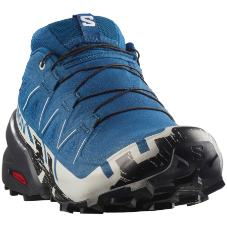 Herren Laufschuhe Salomon Speedcross 6 Gore-Tex