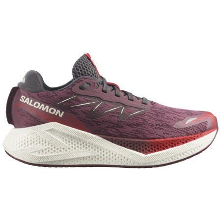 Damen Laufschuhe Salomon Aero Glide 4