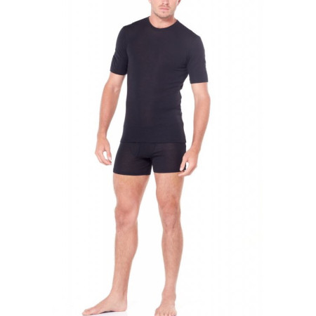 Herren-T-Shirt Icebreaker Mens 175 Everyday SS Crewe