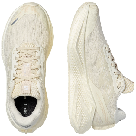 Damen Laufschuhe Salomon Aero Glide 4