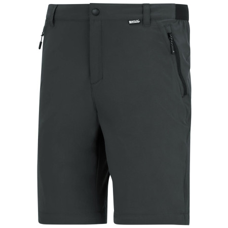 Herrenhose Regatta Anti-Insect Travel Light Z/O Trousers
