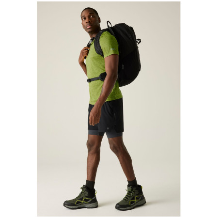 Herren-T-Shirt Regatta Fingal Edition