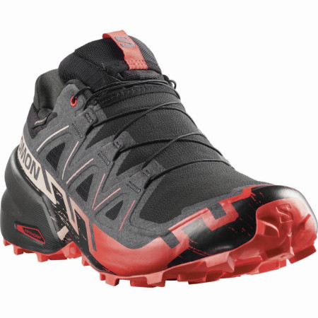 Herren Laufschuhe Salomon Speedcross 6 Gore-Tex