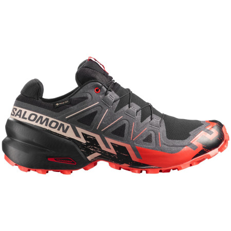 Herren Laufschuhe Salomon Speedcross 6 Gore-Tex