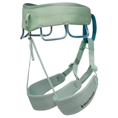 Damen Klettergurt Black Diamond M Momentum Harness
