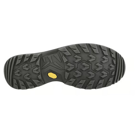 Herrenschuhe Lowa Renegade Evo Gtx Mid