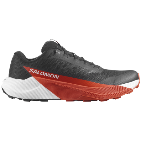 Herren Trekkingschuhe Salomon Pulsar