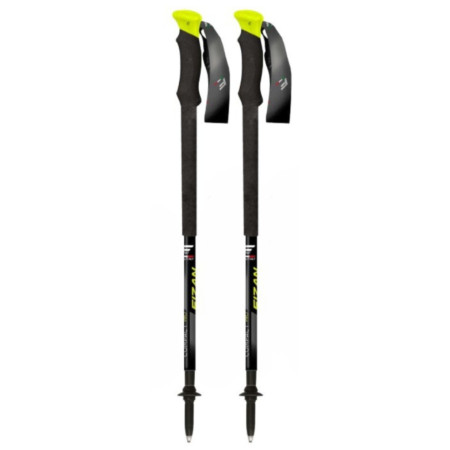 Trekkingstöcke Fizan Compact Pro